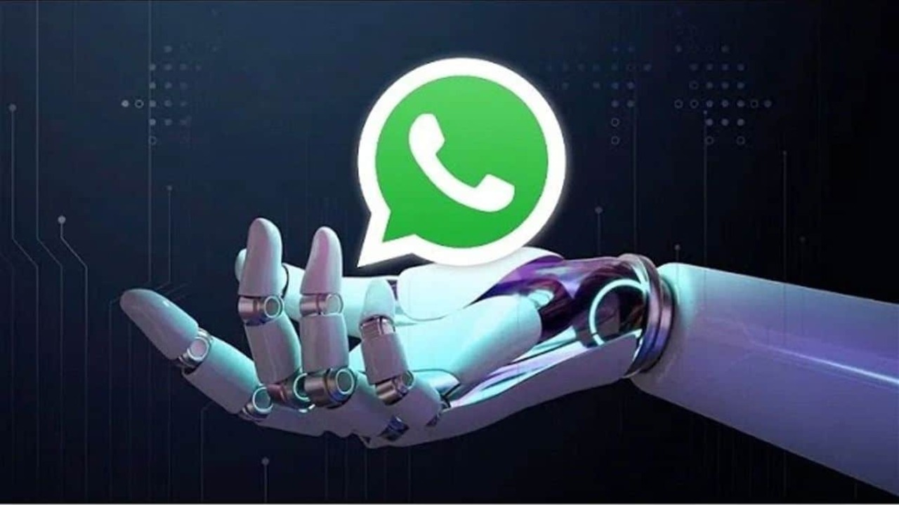 whatsapp robot