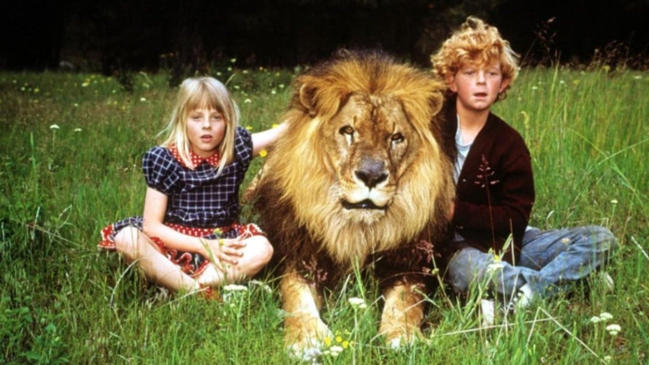 “Aslan Beni Ağzına Alıp Savurdu!” 23 554723