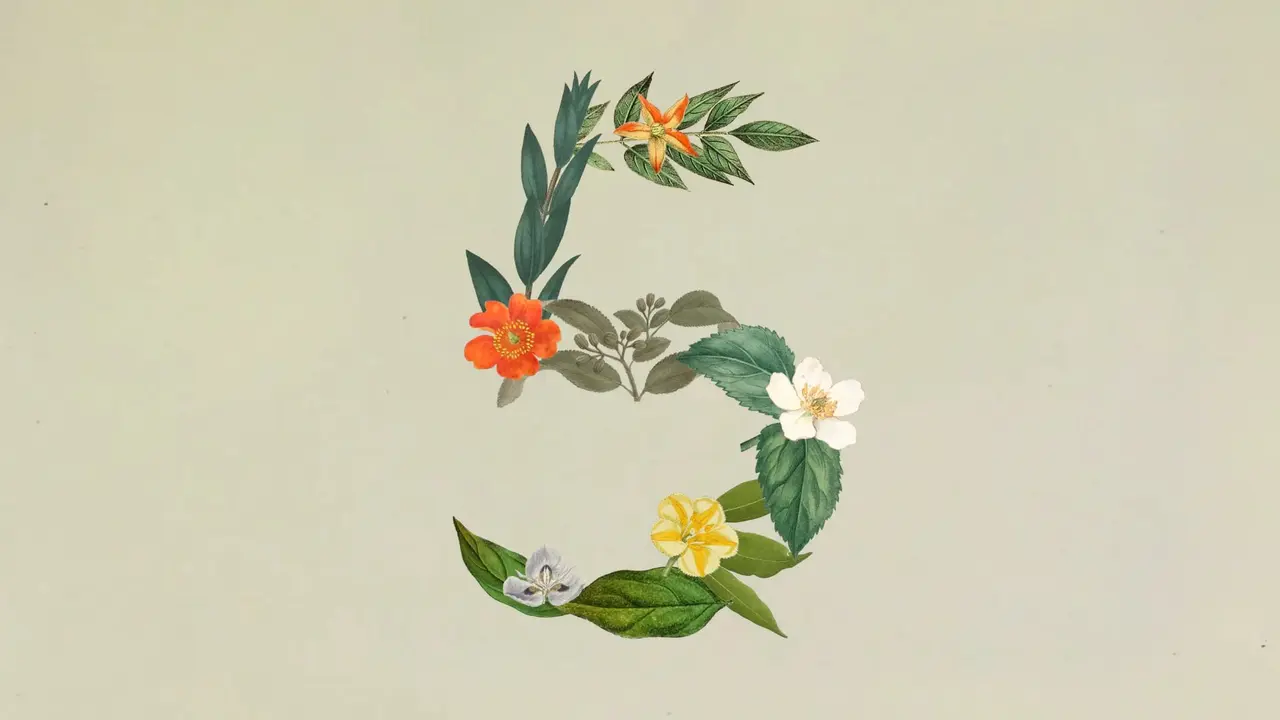 anthropic claude sonnet 5 yuksek performans daha uygun fiyata geliyor.webp