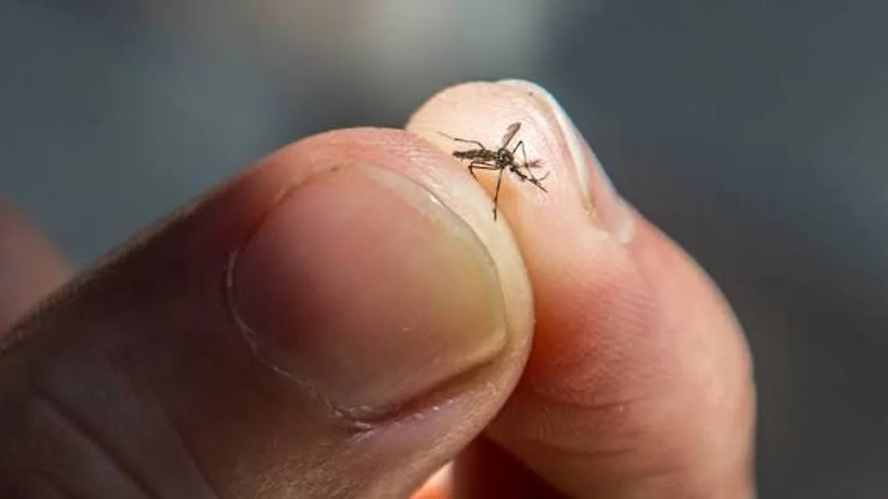 Sivrisineklere Karşı Yeni Teknoloji: Otonom Mikro Dronlar 5 sivrisineklere karsi yeni teknoloji otonom mikro dronlar.webp